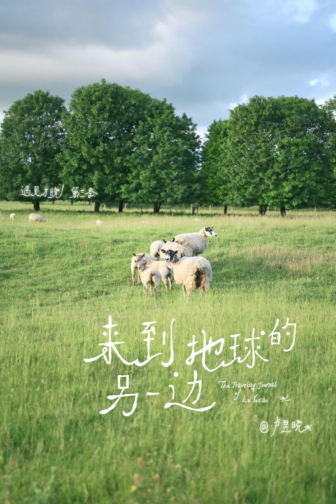 我好日子要来了啊 ​​​