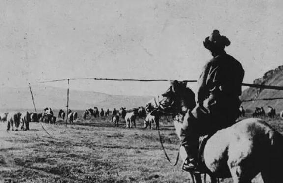 悔不当初？外蒙古独立80余年，156万平方公里的国土被啃成“荒漠陷阱”，75%土