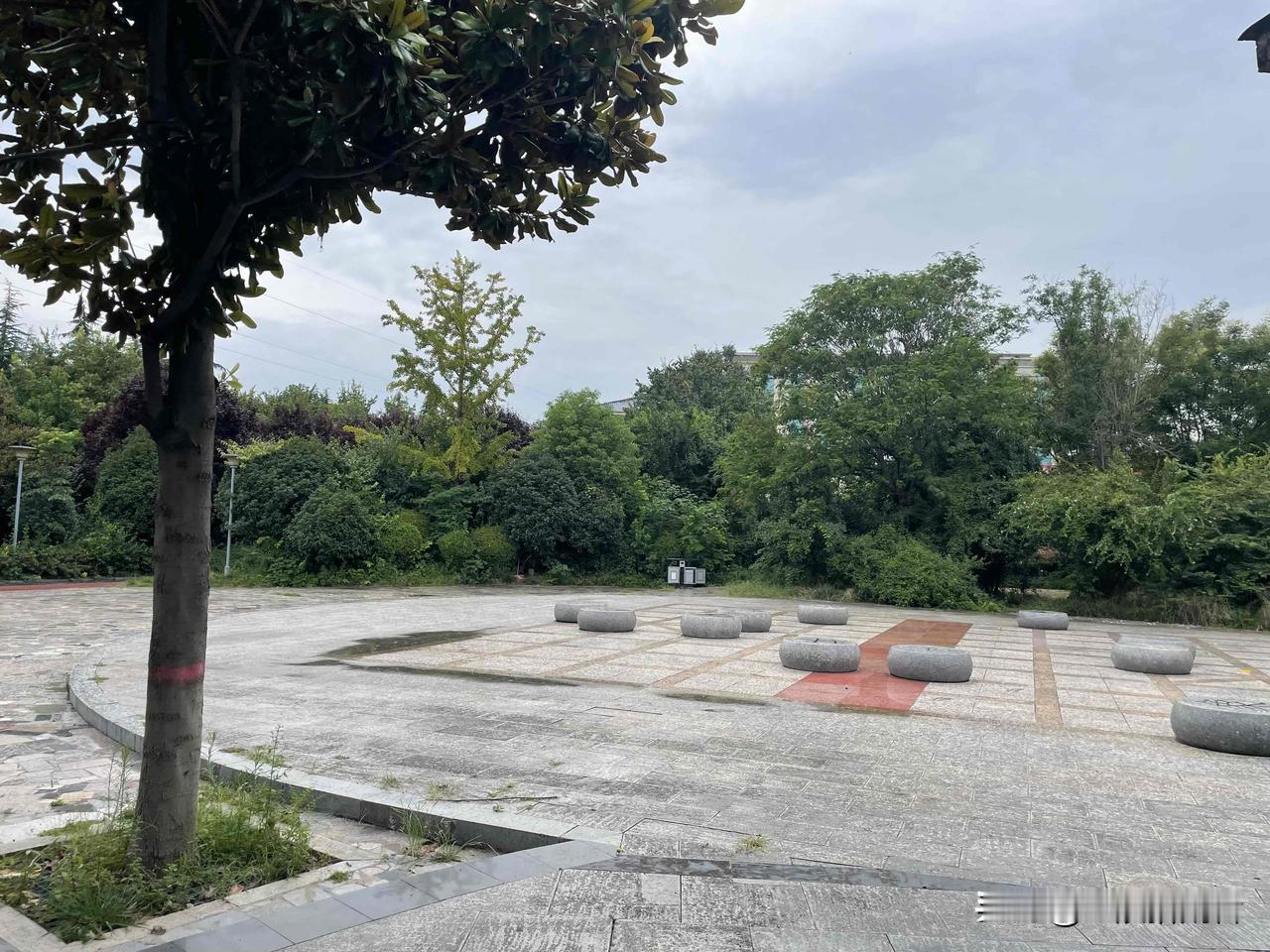 雨后逛公园，才懂平凡日子最珍贵

刚下过一场雨，走到户外公园，空气里满是雨后泥土