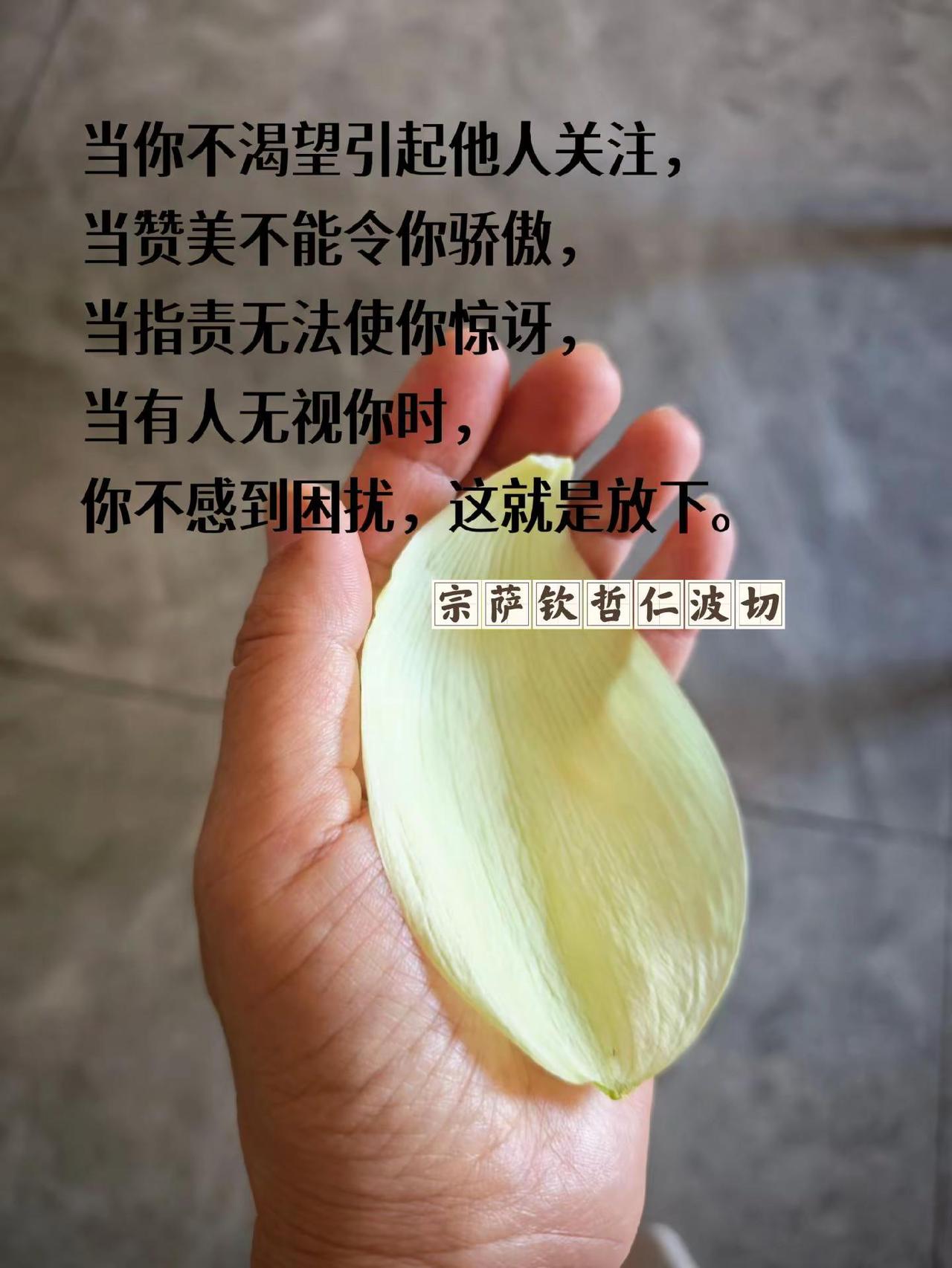当你不渴望引起他人关注，当赞美不能令你骄傲，当指责无法使你惊讶，当有人无视你时，