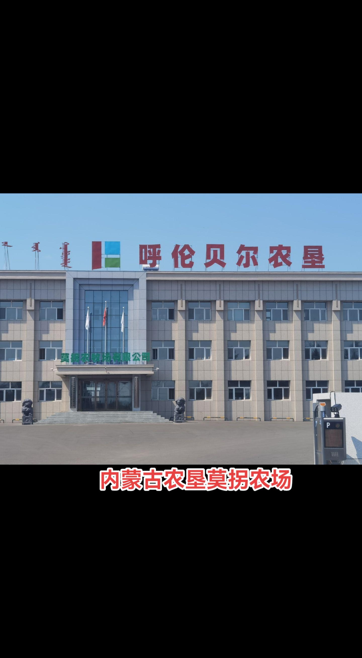 二十年后又见面。海拉尔农垦集团所属莫拐农场，曾为国家级贫困农场，现在发...
