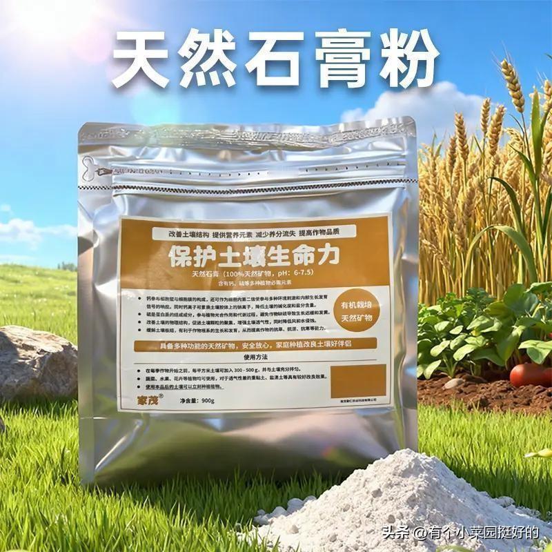 种菜有机蔬菜补钙别用生石灰了！这个才是真正补钙神器
 
新手菜友注意！给蔬菜补钙