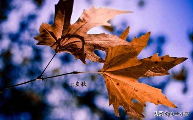 今年立秋后还要热多久？答案来了
 
今天2026年8月2日，农历丙午年六月二十，