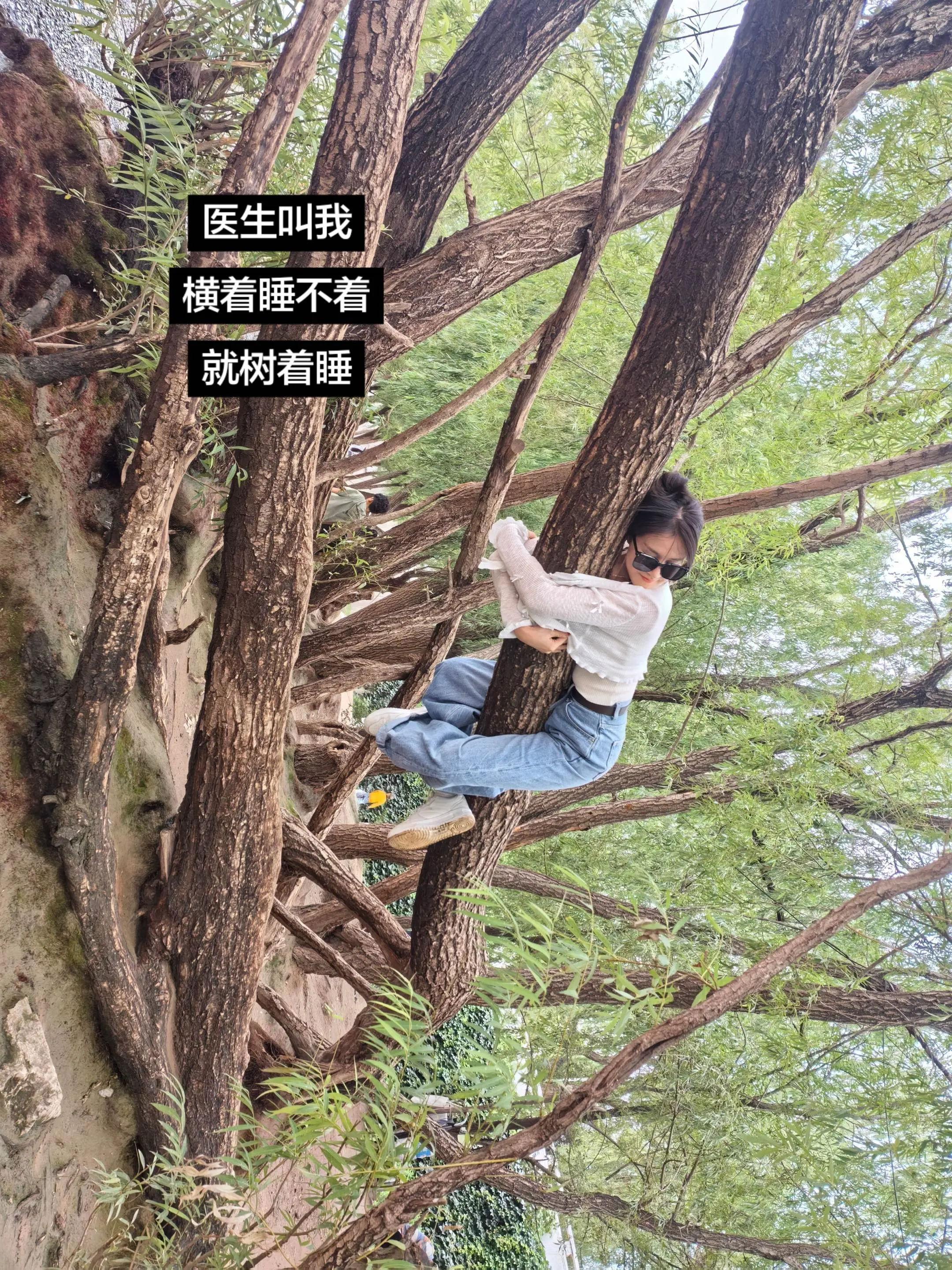 医生让我横着睡不着就树着睡。