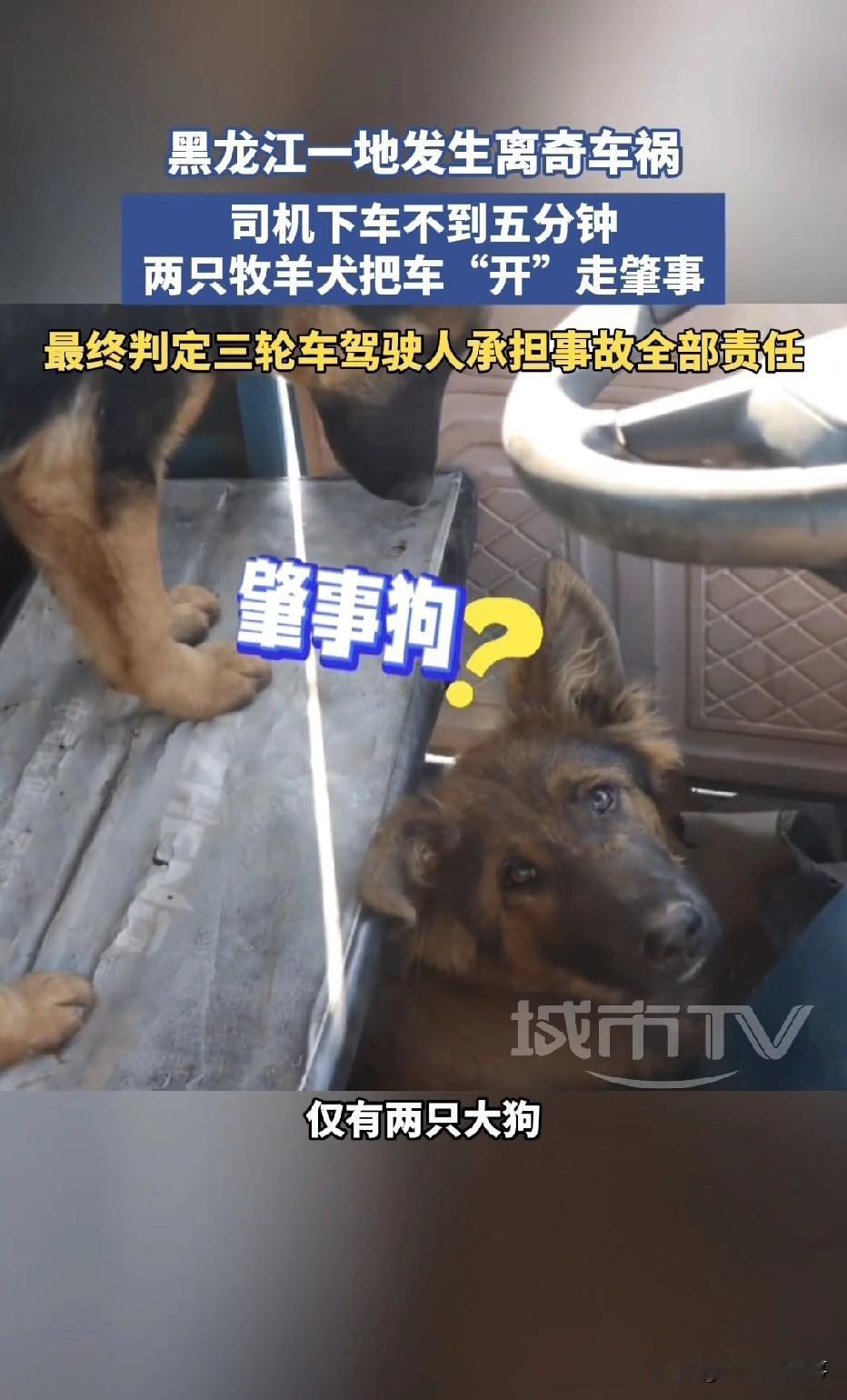 “解释不清了！”黑龙江大庆，一男子开车正常行驶在路上，谁知，一辆三轮车突然冲过来