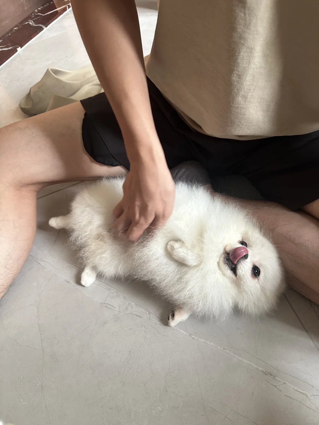 煤气罐罐（白色绒毛版