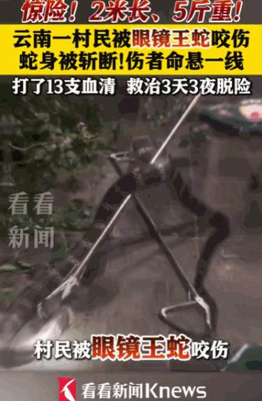 “打蛇不死反成仇”，5月10日云南昭通，一名村民在田间干活时被一条约2米长、5斤