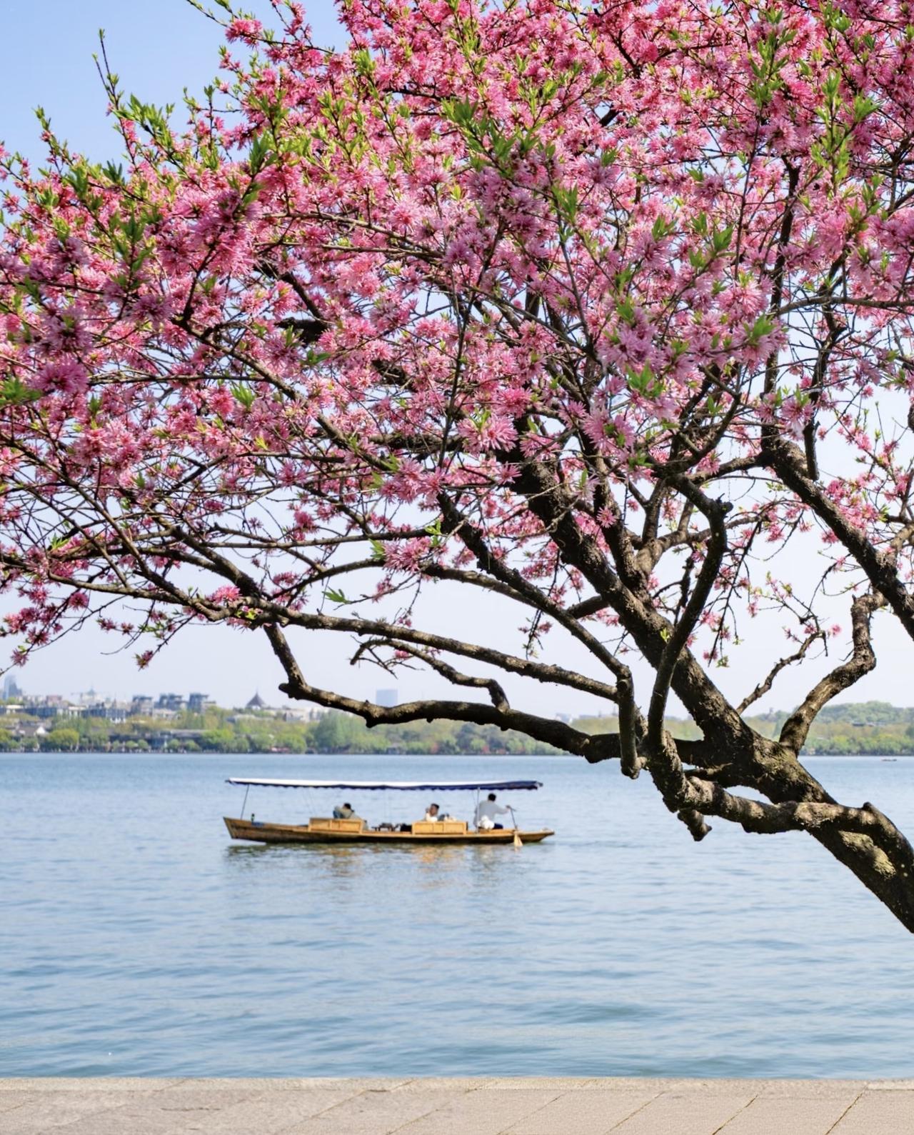 湖泊 船 形成一幅美景。