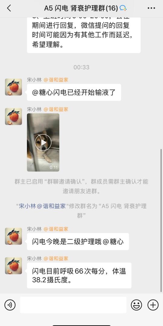 9岁宝贝狗生第一个劫