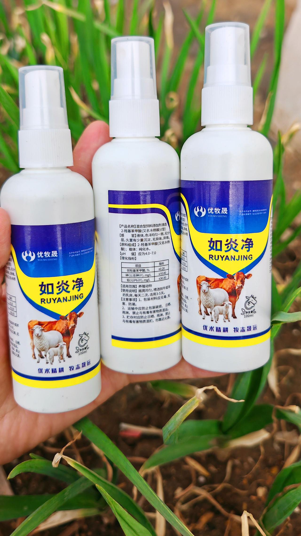 养羊人 农村养羊 牛羊养殖