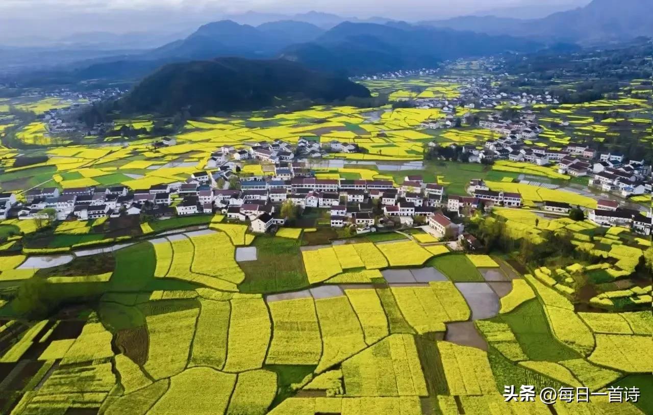 面朝大海，春暖花开

从明天起，做一个幸福的人

喂马，劈柴，周游世界

从明天