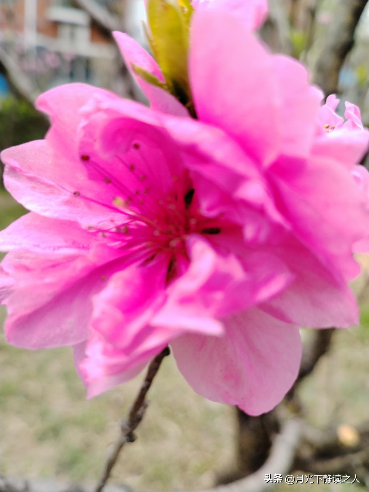 对同事赌气离职一事的看法
 
昨天碰到同事这事，说实话我还挺感慨的。

他工作上