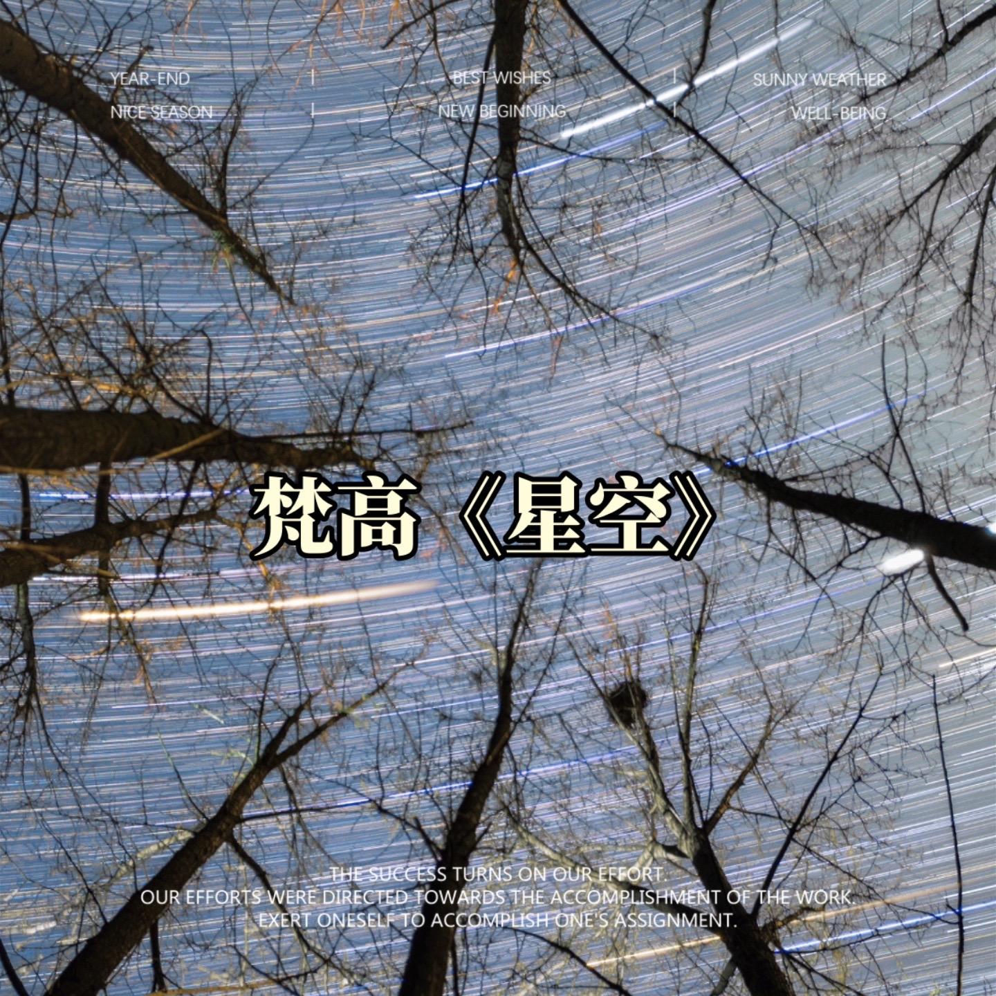 梵高《星空》星轨。后来才发现梵高画的不是星轨 而是时间！