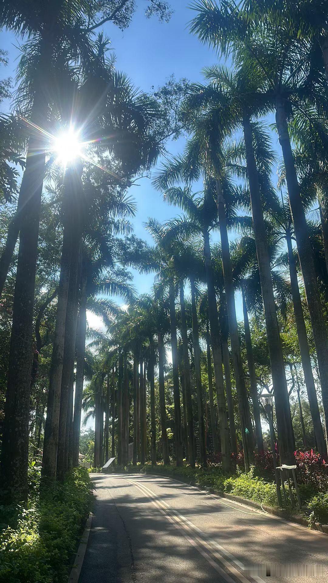 恶意拖欠公积金贷款怎么办?法律法规用上，估计能解决大部分问题。
