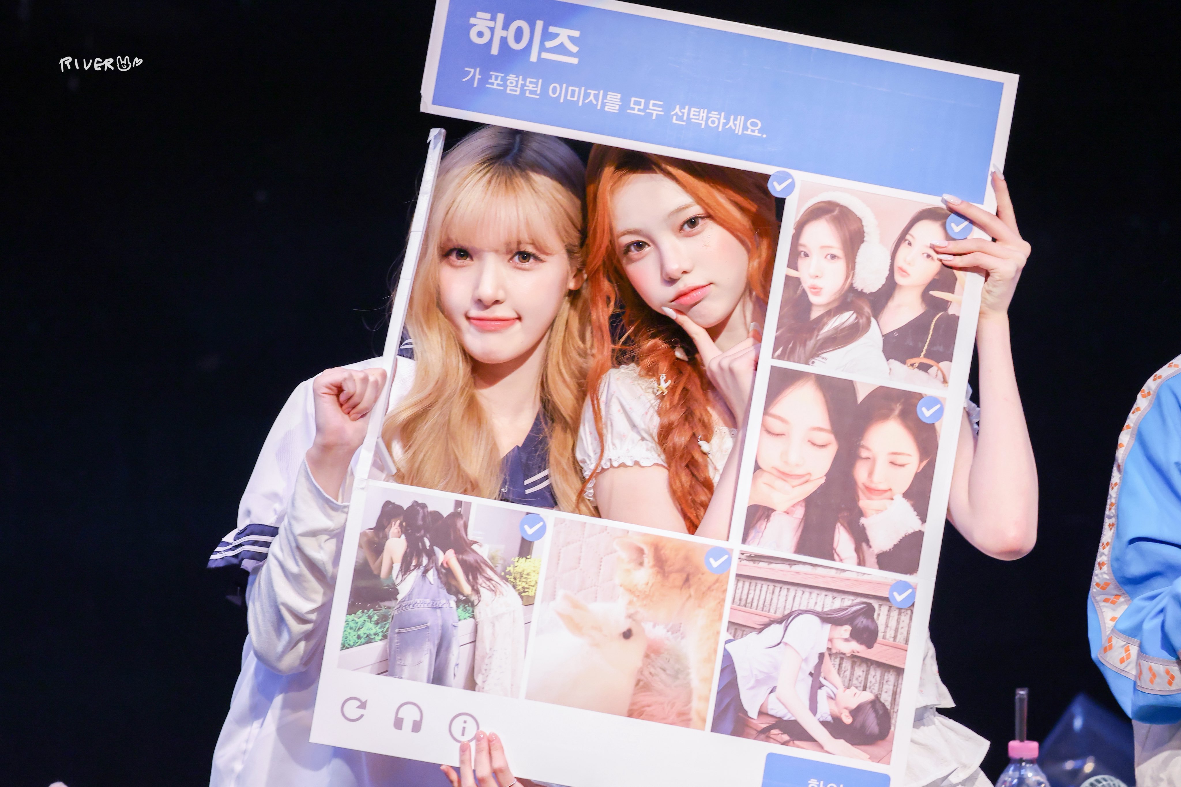 ૮ • ᴥ • ა.river_yuha 