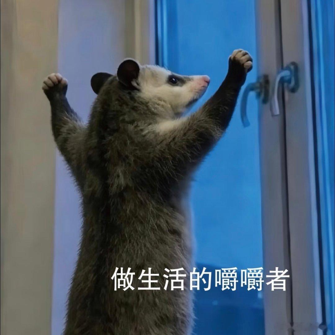 真的好想成为一个大胃王现在啥美食都想吃 