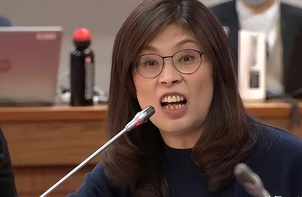 彻底跑偏！国民党主席公然否定两岸统一，葬送政党根基！

近日，国民党主席郑丽文在