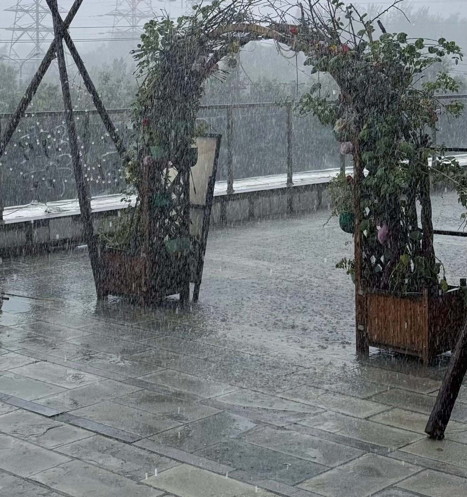 这几天北京暴雨朋友们基本都在居家办公，有点之前在家上网课的感觉了，还是我们这一波