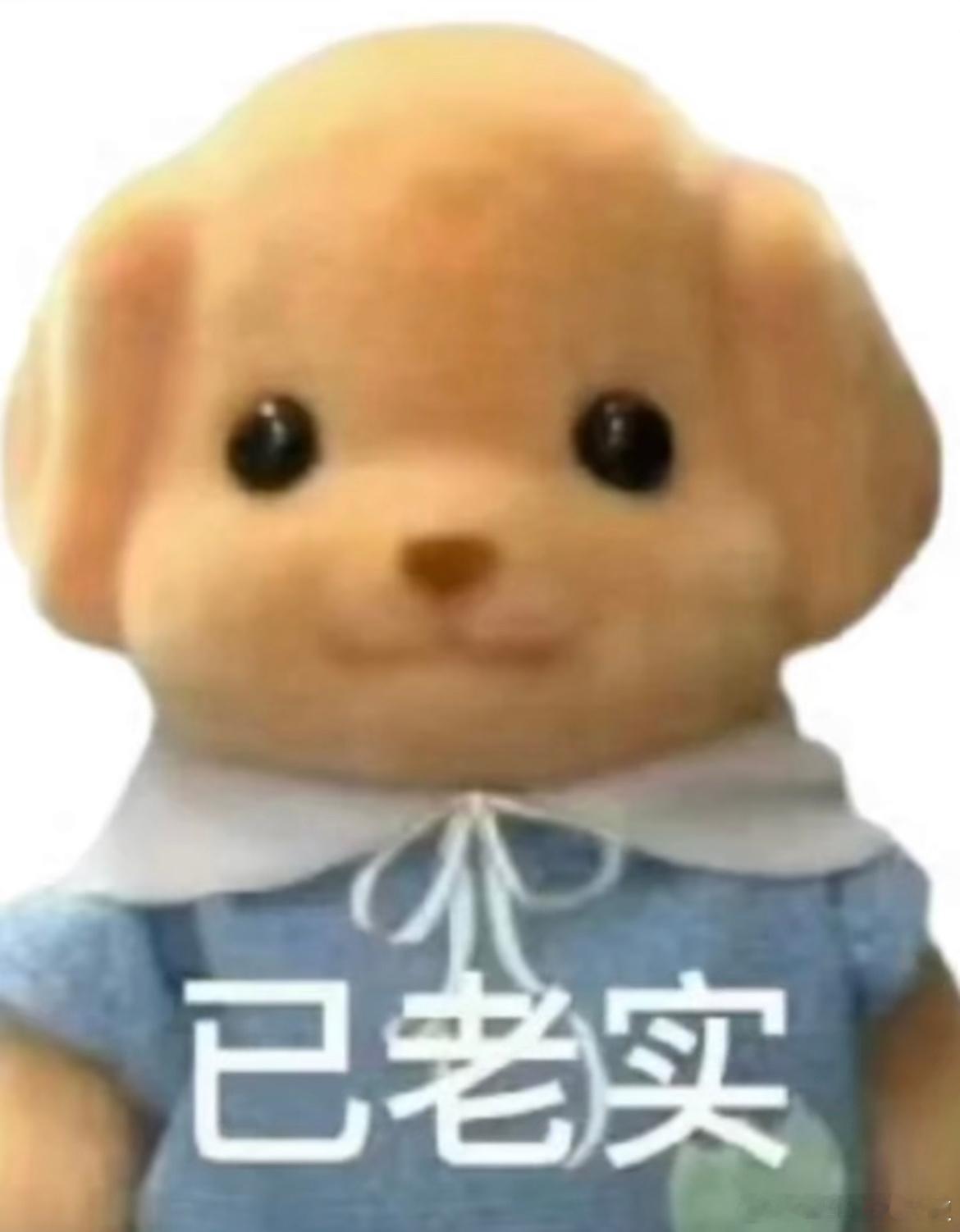 有时候不是看开了，其实是真没招了 ​​​