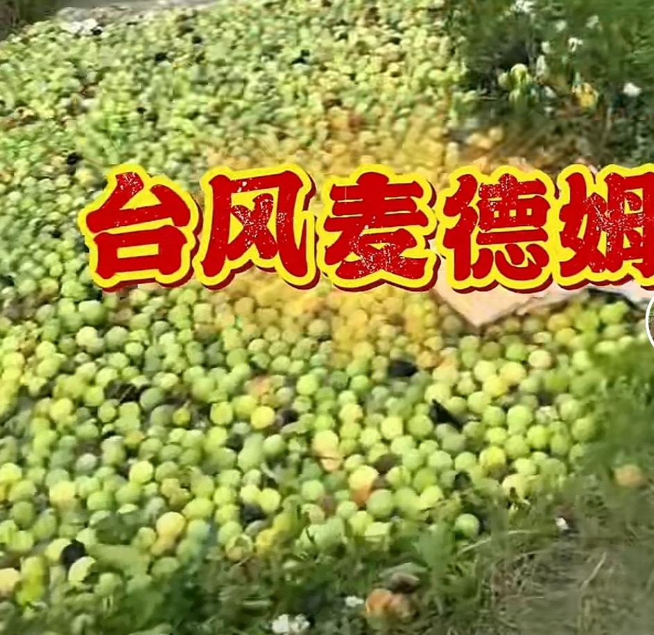 家人们，来说一个减少损失的方法。
是这样的:近几天，台风过境，广东、广西、海南部