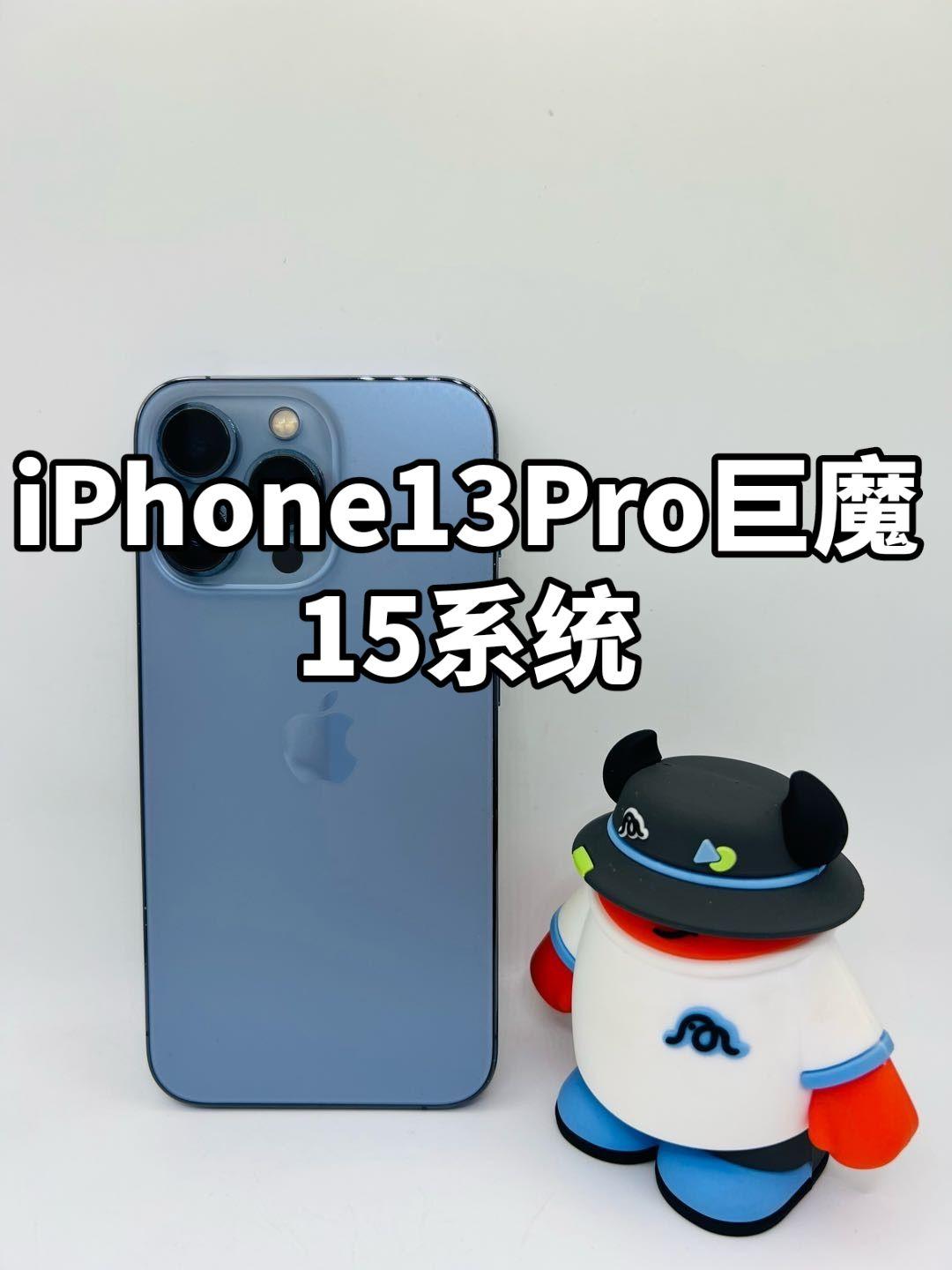 iPhone13Pro 15系统 蓝色128G 港版 低系统
新电芯97 小花 