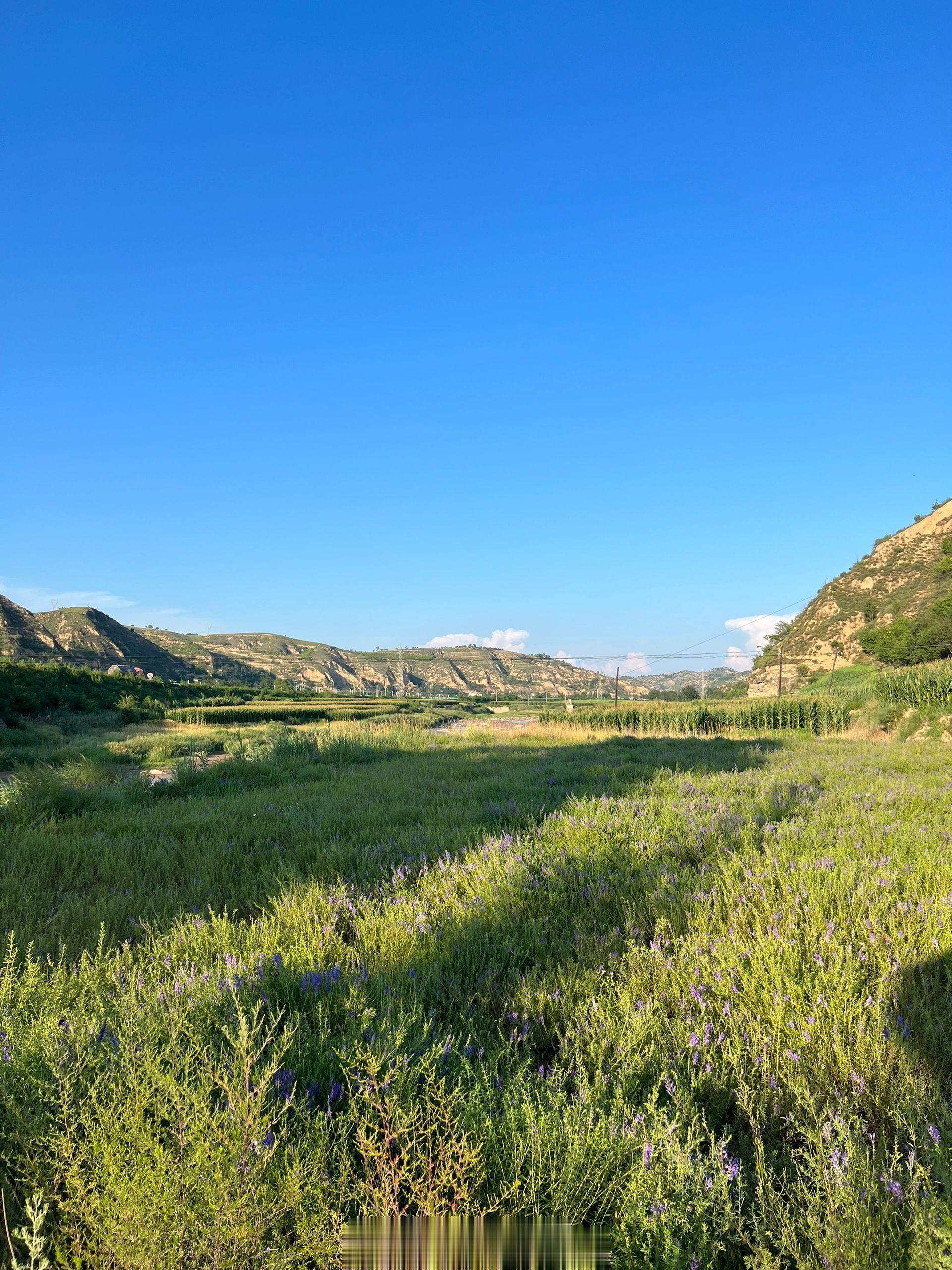 你们敢信这是陕北？前几年我去陕西真的震惊了，黄土高坡上山清水秀一片葱绿，黄河水绿