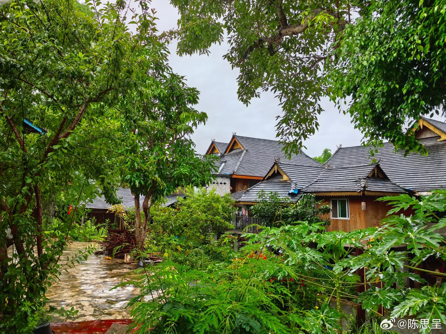 来到这里，巨美
