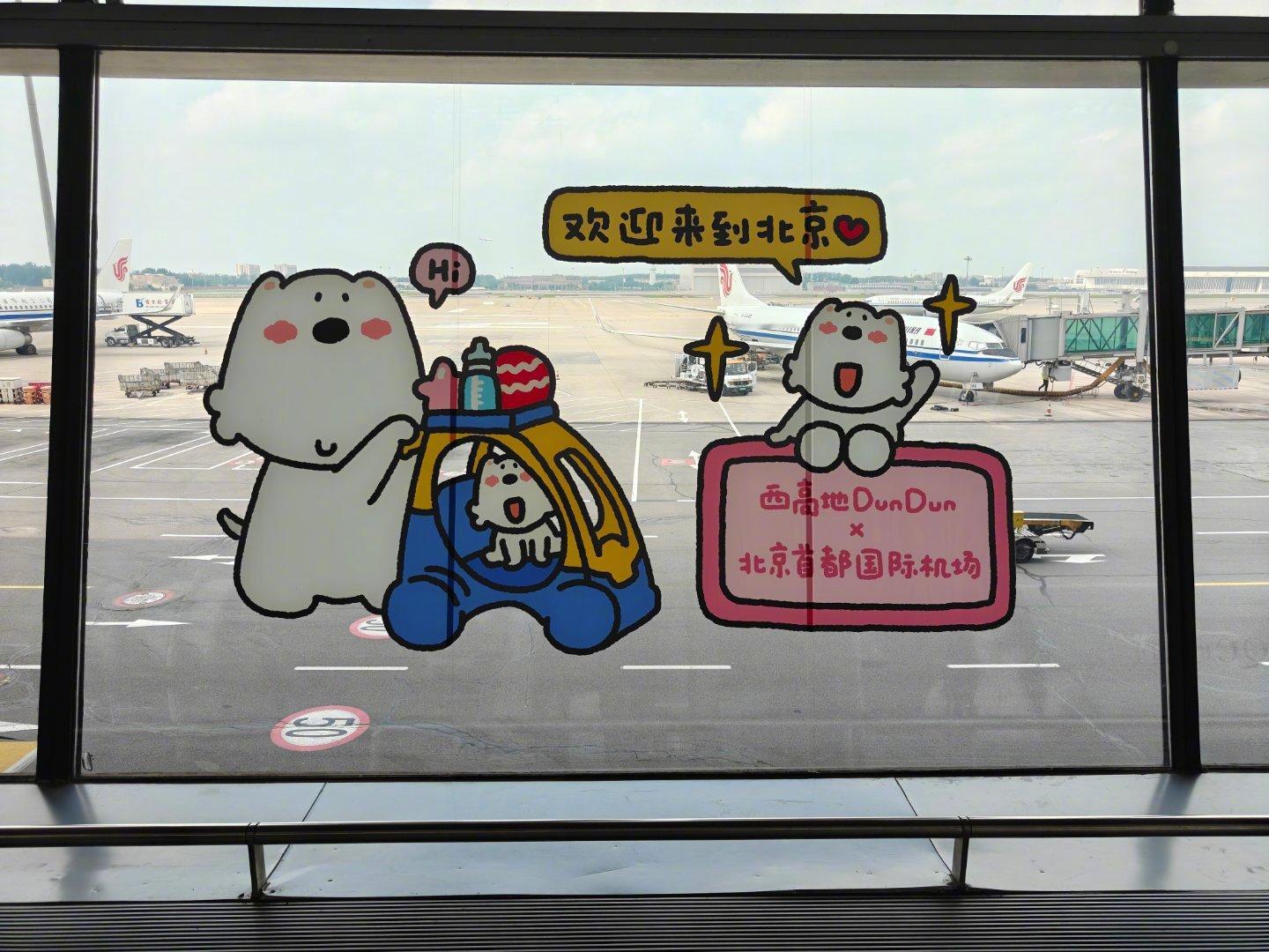 航空君航空科普 在T3的国际转机还是很方便，国内航班下来，但转机区可能要打印一下
