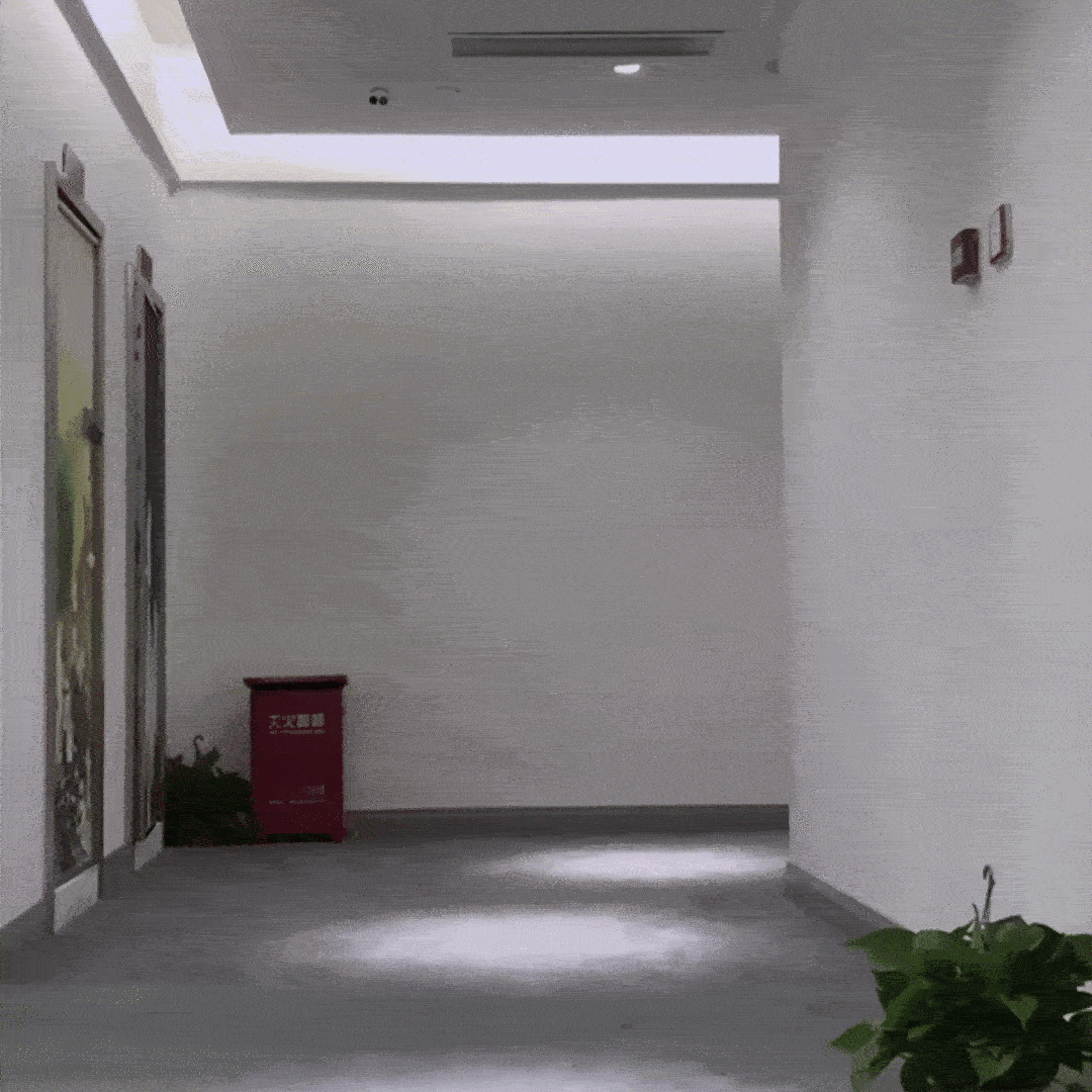 我不行了    这个曲线哈哈哈哈真的没垫吗 