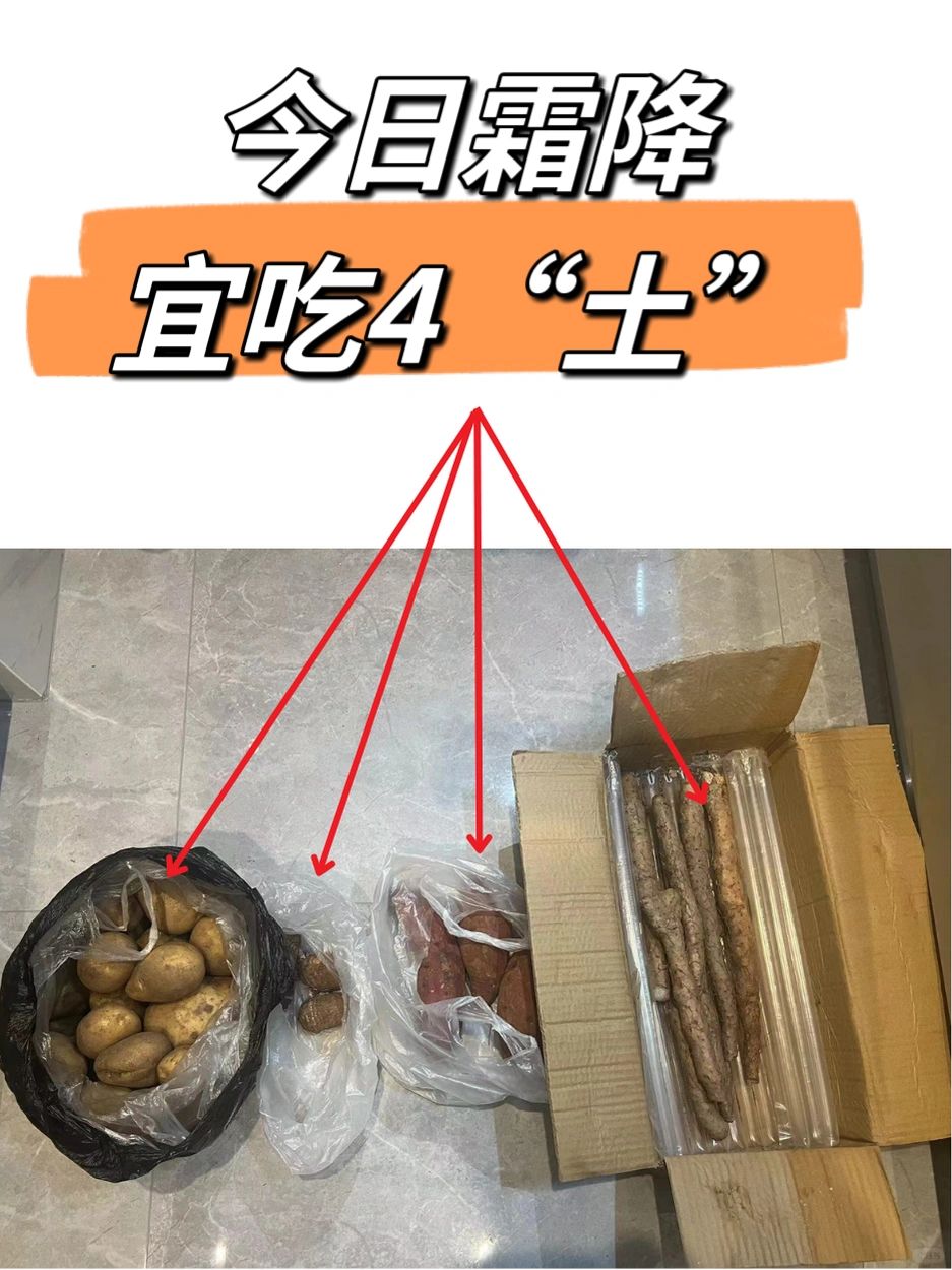 霜降时节，阳下入地，开始蓄力！