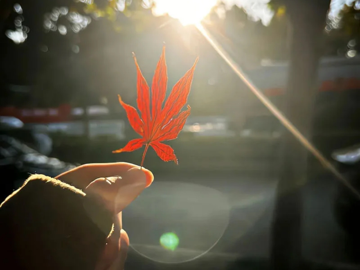 我需要的是能治愈我的恋人 而不是把我变成精神病的疯子. 