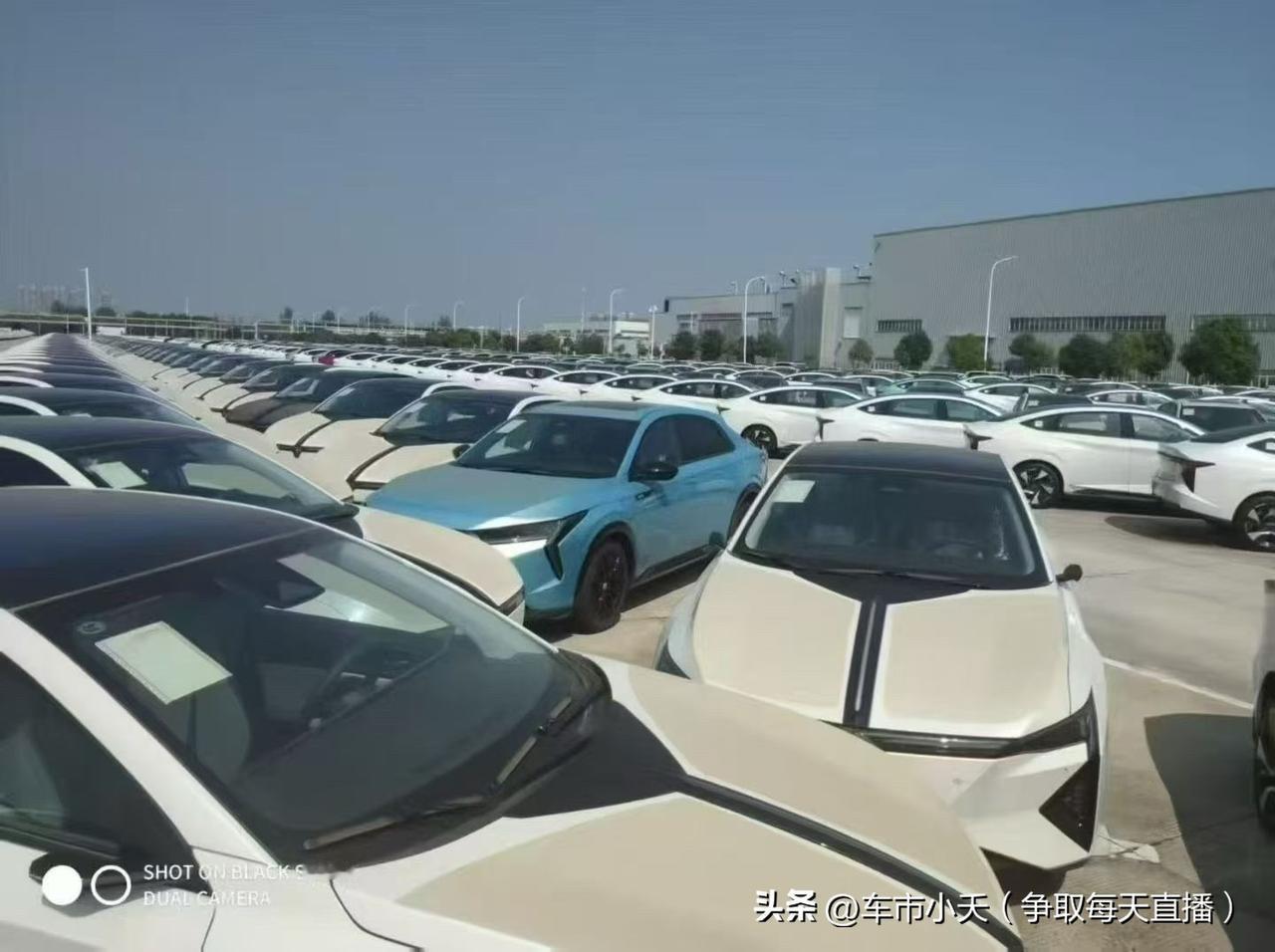 以前市面上看到的大批量新能源车基本都是国产品牌，这两年国产品牌没有了，基本都是合