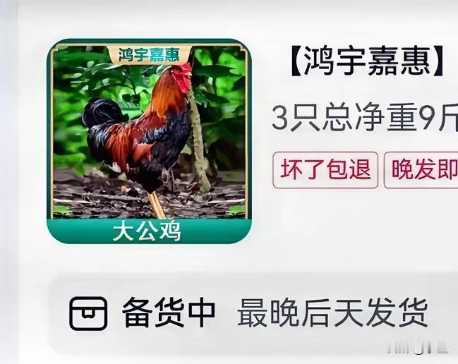与辉同行直播间的大公鸡
已经卖断货了，十几万只啊就没了
还有很多人没买到，为什么