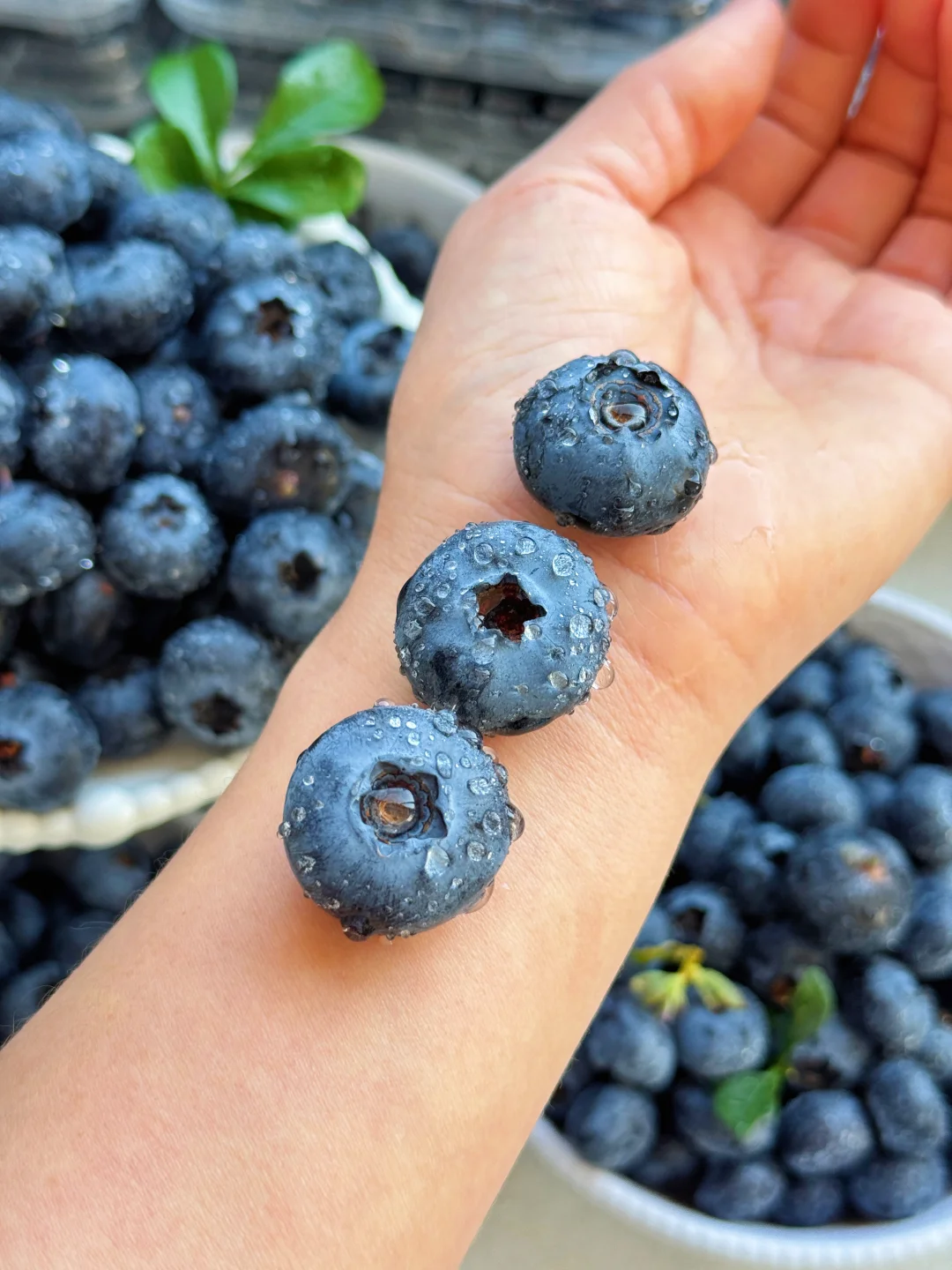 这才是真正的花香蓝莓，你买对了吗？