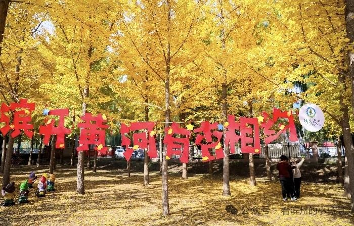 滨州这一片，成“顶流”打卡地！

近日，山东滨州两处景点成热门打卡地：滨城区南外