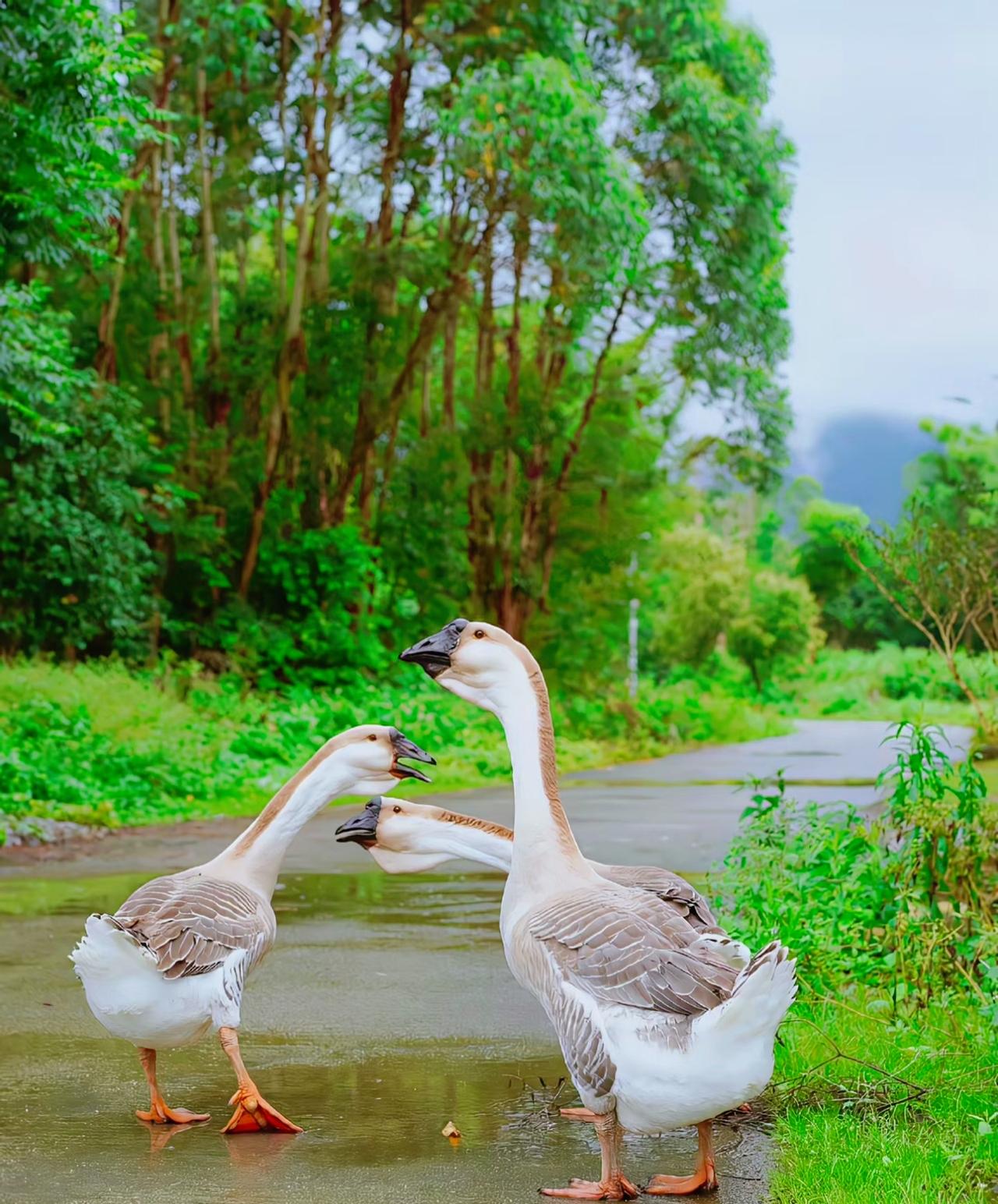 社会学家说:
“男人由性而爱，性冲动是男人的本能，也是温度计，热是他，凉也是他。