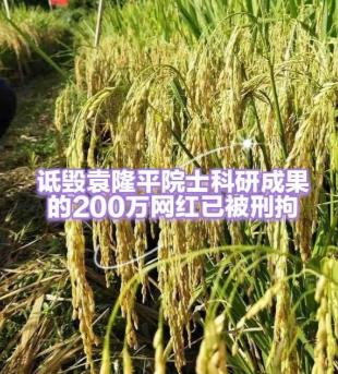 刑事拘留和行政拘留差多大？杨某这回摊上啥事了？
6月29日，沈阳市公安局苏家屯分