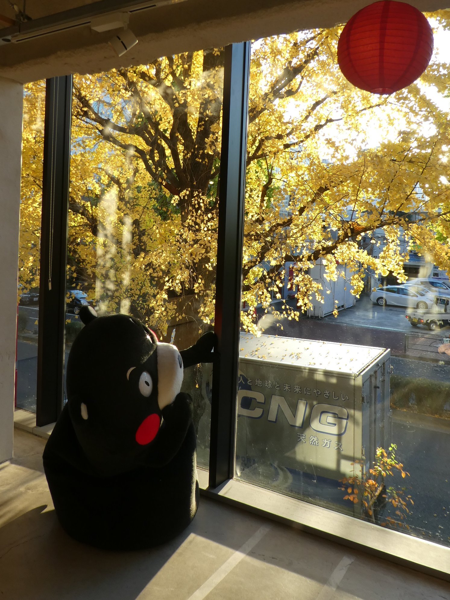 周末快乐 ​​​