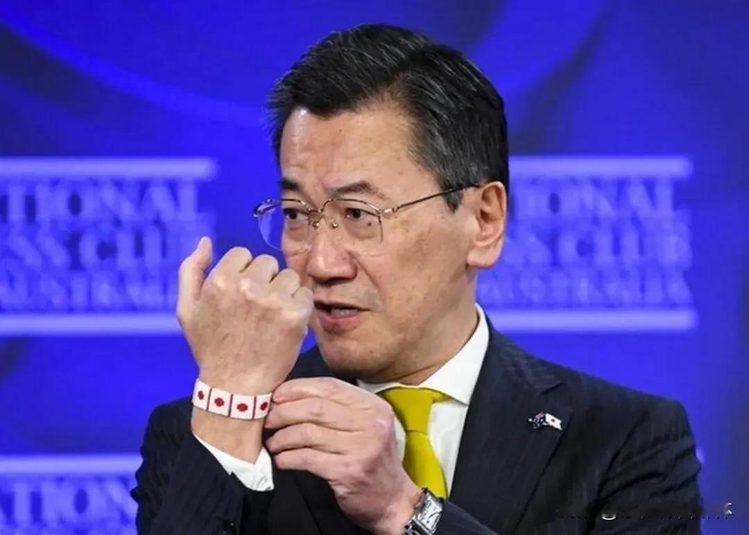 经济都要划向二流国家了，日本驻澳大使还在这挑拨是非！

2月1日，日本驻澳大利亚