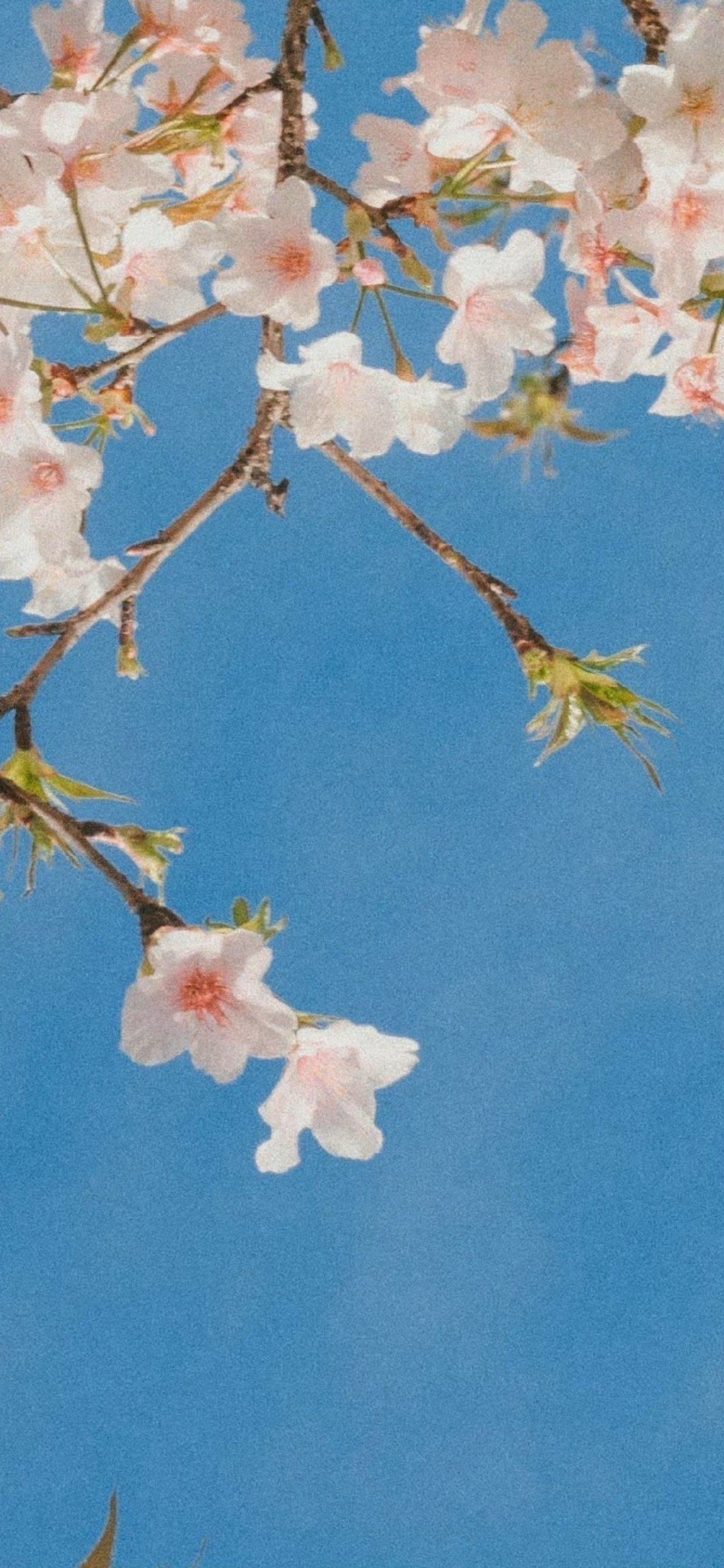 今年剩下的日子霉运清除，好运加满 