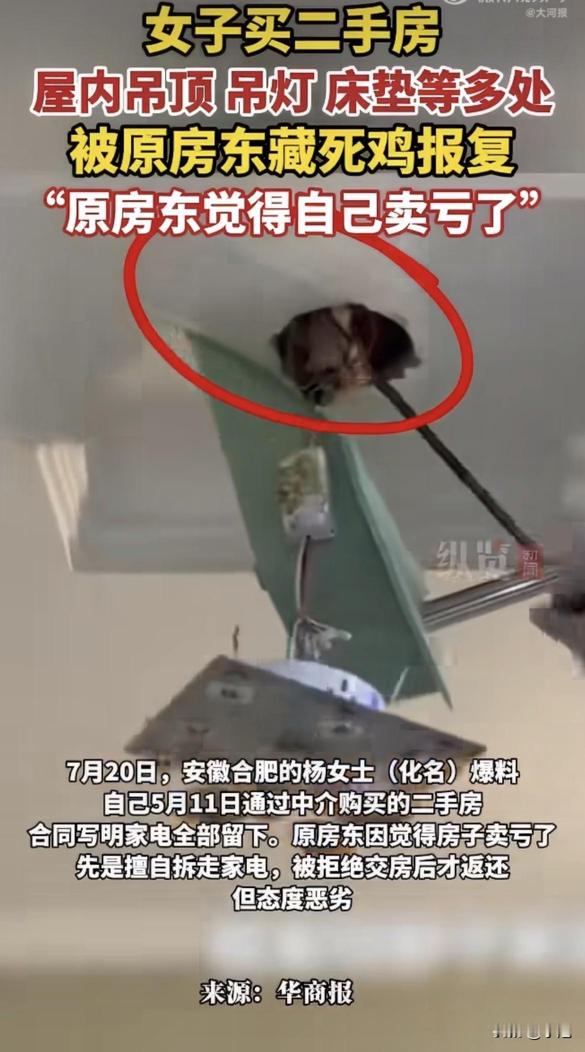 杨女士拿钥匙那天，中介说房东刚搬走没多久。

开门之后她站在玄关没敢动。吊顶在漏