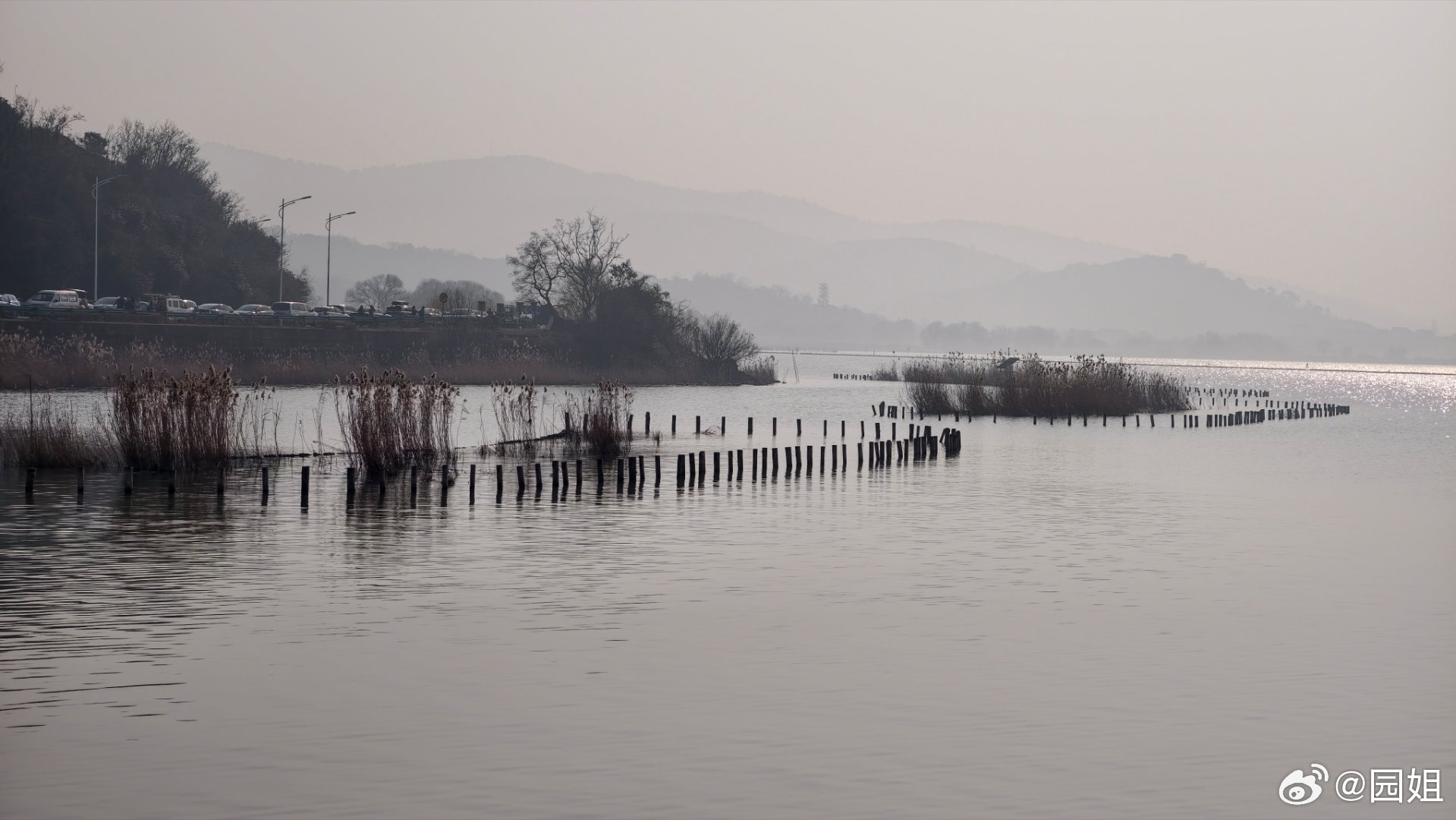 抽时了一下太湖喂了一下海鸥两个姐姐还抬这小狗肉