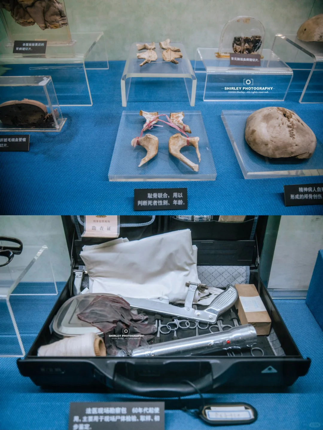 上海免费展馆｜朴素的展陈，讲的都是炸裂的事