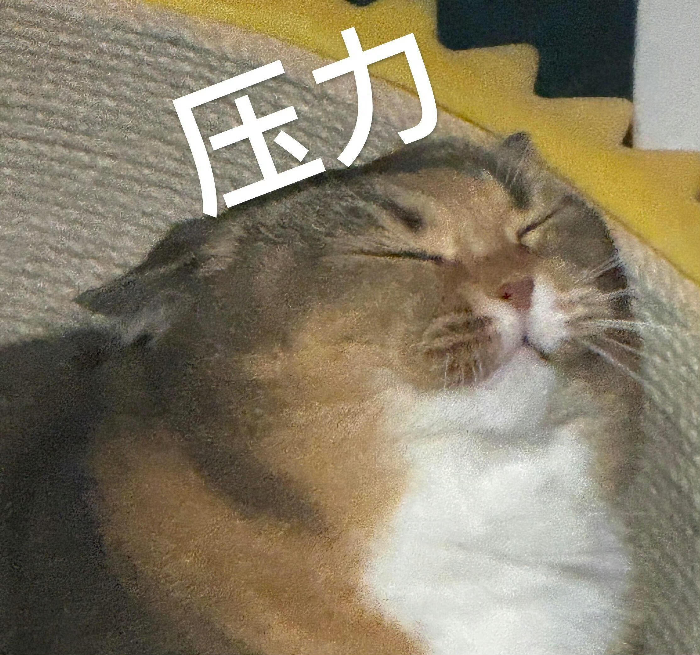六点不是姐粉的切磋点，是dp的……以后出去拉业务，一句：“我抢到过李云霄的九斤首