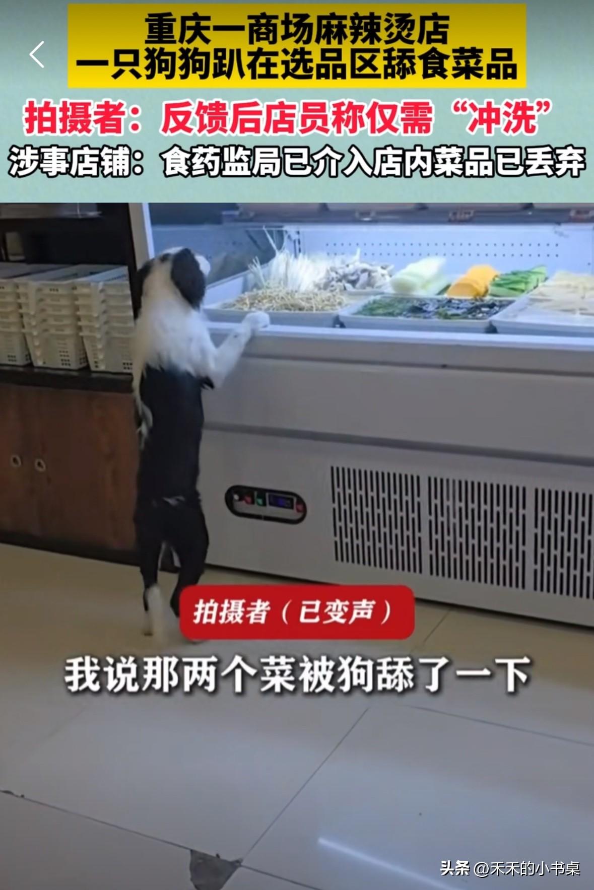 重庆一家商场的麻辣烫店，女子在吃麻辣烫，一只狗跑过来在选菜区舔食菜品。
女子呵斥