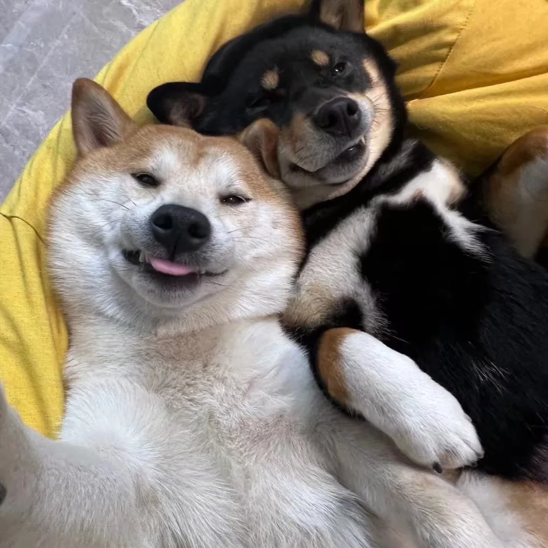 来跟镜头吃个耶✌🏻