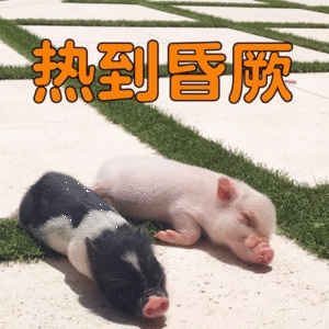吃完饭就去上班了，外面好大太阳