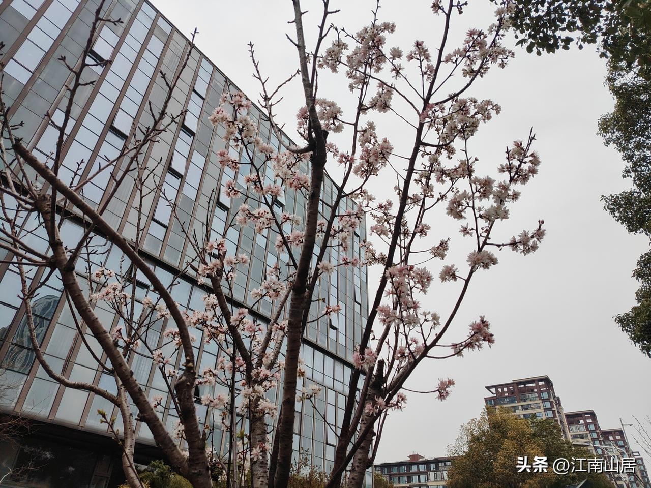 我跟同事说，我打算撮合表妹和表弟，让他们谈谈看，说不定有机会在一起。然后，我同事