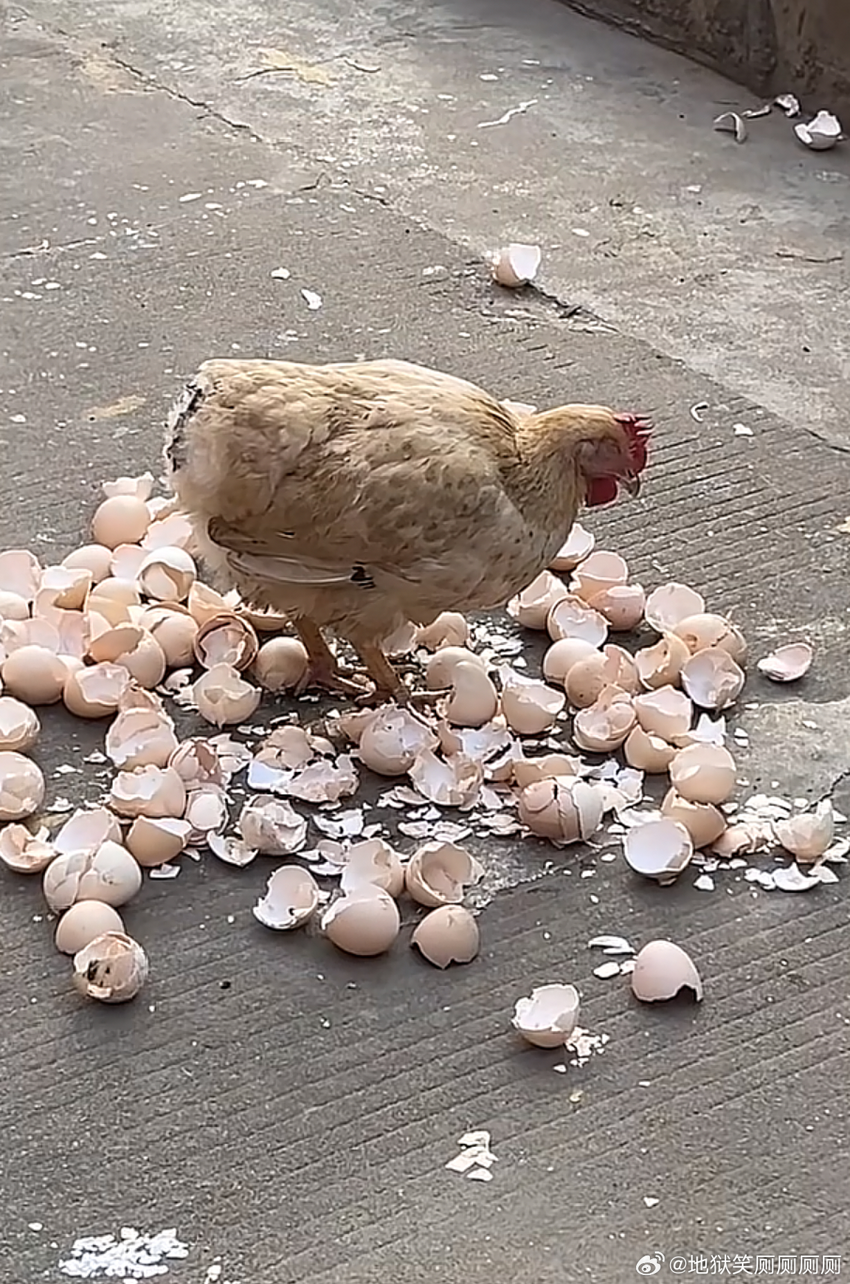 1063你为何紧闭双眼 