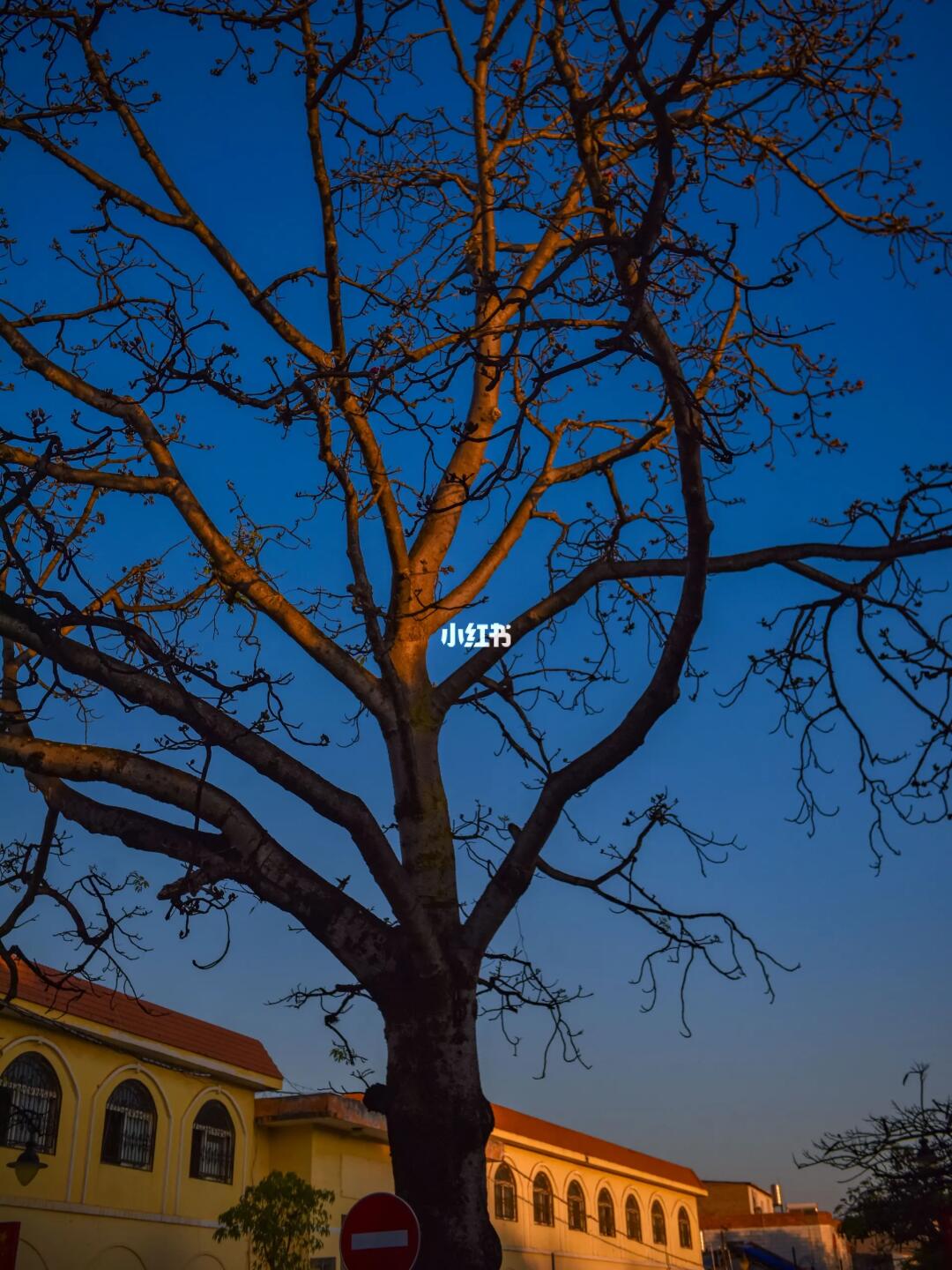 本以为大理已经够美了，直到我去了蒙自